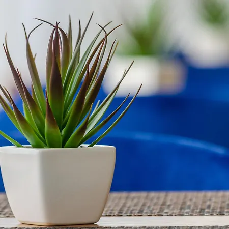 酒店 2m Boutique 3*