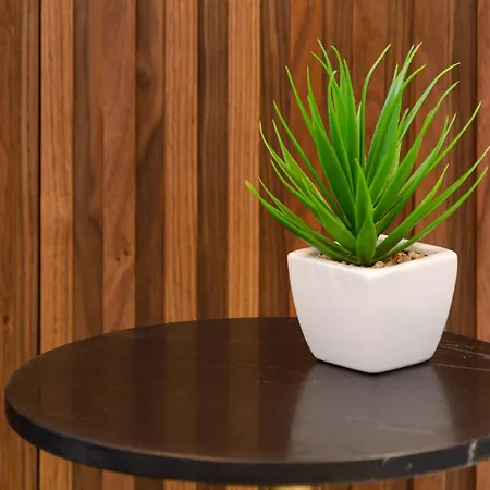 2m Boutique 3* Montijo